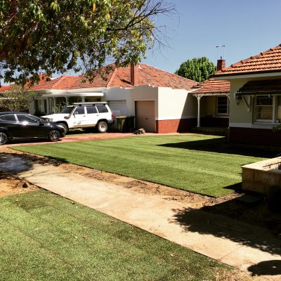 Empire Zoyzia and Reticulation in Inglewood